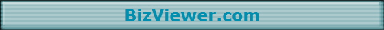 BizViewer.com