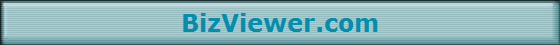 BizViewer.com