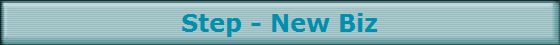 Step - New Biz